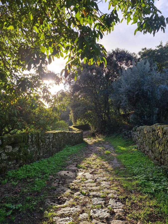 Quinta De Sao Pedro De Vir-A-Corca Em Monsanto Bed & Breakfast Bagian luar foto