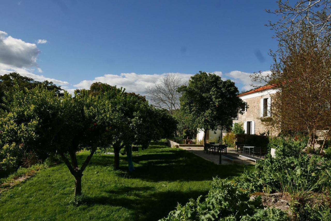 Quinta De Sao Pedro De Vir-A-Corca Em Monsanto Bed & Breakfast Bagian luar foto