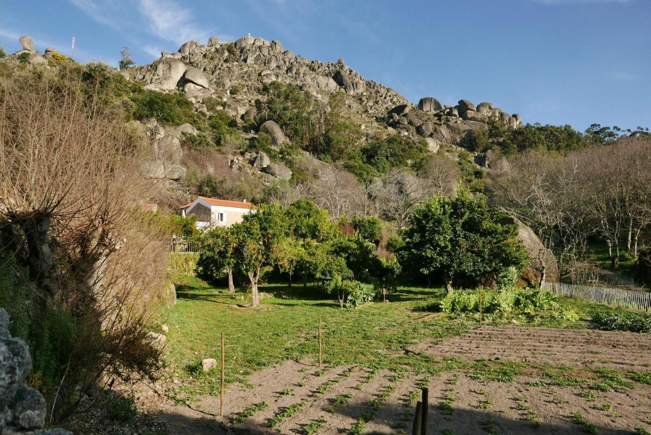 Quinta De Sao Pedro De Vir-A-Corca Em Monsanto Bed & Breakfast Bagian luar foto