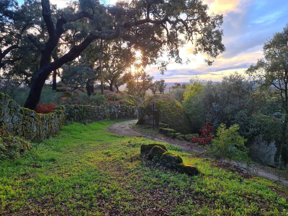 Quinta De Sao Pedro De Vir-A-Corca Em Monsanto Bed & Breakfast Bagian luar foto