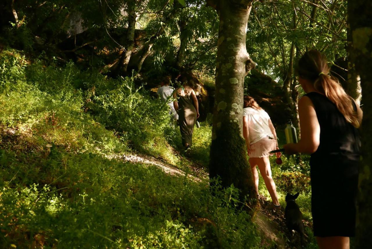 Quinta De Sao Pedro De Vir-A-Corca Em Monsanto Bed & Breakfast Bagian luar foto