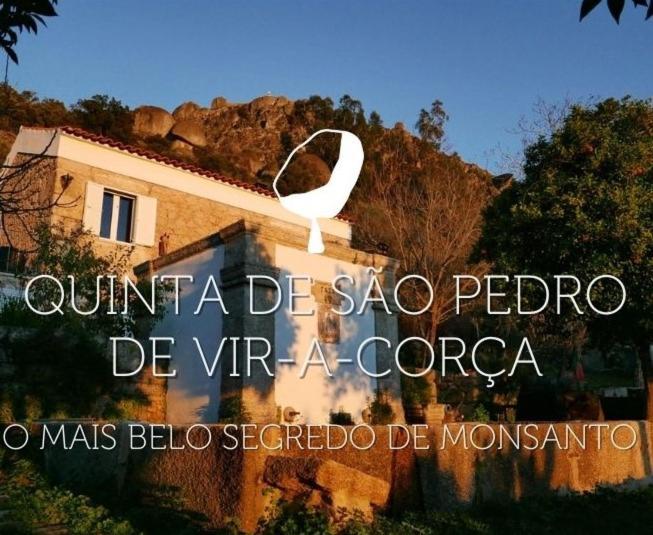 Quinta De Sao Pedro De Vir-A-Corca Em Monsanto Bed & Breakfast Bagian luar foto